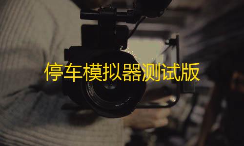 DY直装6.2免卡密停车模拟器测试版